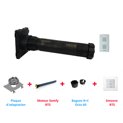 Pack Moteur Somfy pour remplacement d'un moteur Bubendorff + Commande RTS