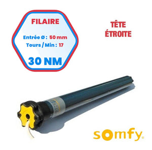 Moteur Somfy Ilmo 50 WT 30/17 TH