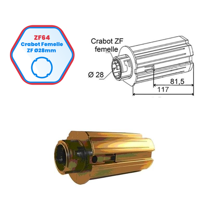 ZF64 einziehbare Spitze | Hündin